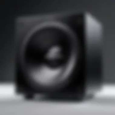 Magnificent In-Depth Analysis of the Proreck 18 Subwoofer Magnificent In-Depth Analysis of the Proreck 18 Subwoofer
