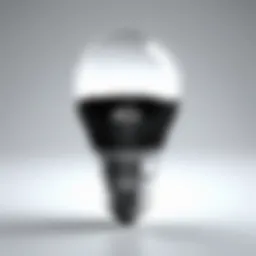 A Comprehensive Examination of the Dell 1610HD Bulb Introduction