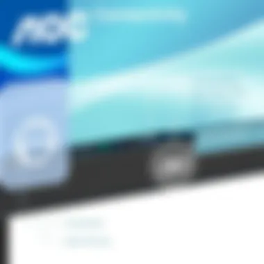 Connectivity options available on the AOC 12367F monitor.