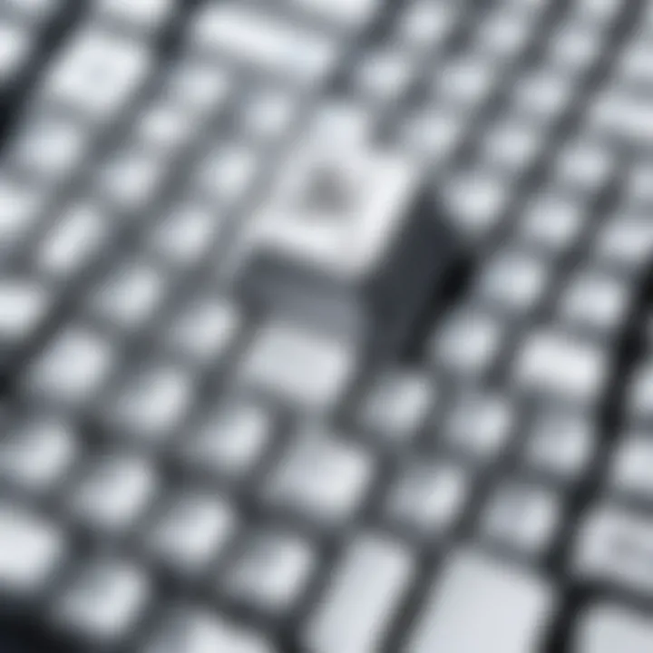 A stunning collection of white Japanese keycaps in various styles and shapes.