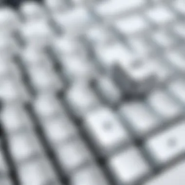 Compatibility of White Japanese Keycaps Detailed infographic on the compatibility of white Japanese keycaps with different keyboards.