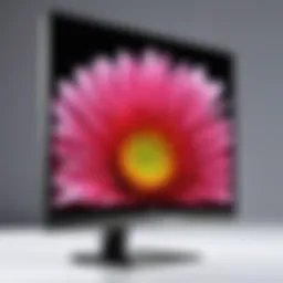 Comprehensive Analysis of the LG 850 Monitor Introduction