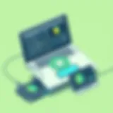 Comprehensive Exploration of Portable Disk Players for Laptops Introduction