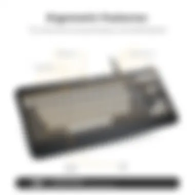 Ergonomic design of the K350 keyboard showcasing its unique shape and layout