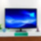Comprehensive Guide to Plasma TV Mounting Solutions Introduction