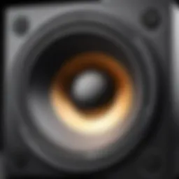 Detailed view of a high-fidelity stereo speaker with integrated subwoofer showcasing its internal components.