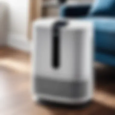 Comprehensive Review of the DeLonghi DEN500P Air Purifier: Key Features and Insights Summary