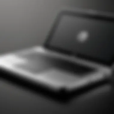 Sleek Design of HP Envy Carrying Case Stylish HP Envy carrying case showcasing its sleek design