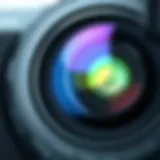 Gobe lens with intricate design and features