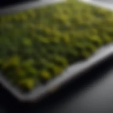 Close-up of Lenovo Dark Moss laptop showcasing its unique texture and color.