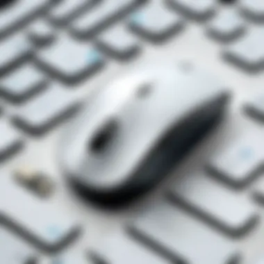 Close-up of Logitech White Wireless Mouse buttons