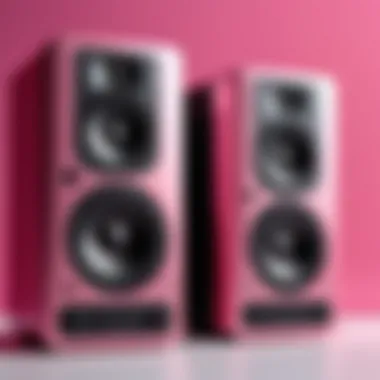 Color Comparison: Pink vs. Black Speakers Comparison of pink speakers with traditional black speakers