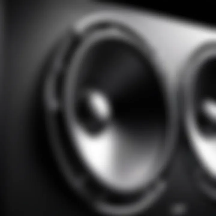 Close-up of Skar Audio speaker showcasing mids