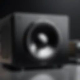 Exploring the Dayton Audio Sub1200: A Comprehensive Analysis Introduction