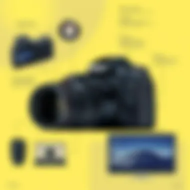 Notable Exploring the Nikon D3500 with Two Lenses: A Comprehensive Overview