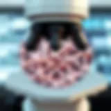 Examining Fine Structures with USB Technology Intricate details captured by a USB powered microscope