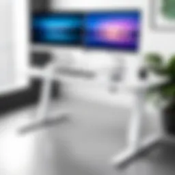 Elegant Flexispot Dual Motor Desk showcasing its sleek design