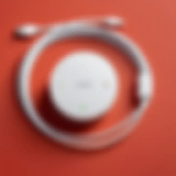 Illustration displaying the compatibility of the Google Nest Mini cable with various devices.