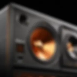 In-Depth Analysis of Klipsch Synergy F20: An Expert Perspective Introduction