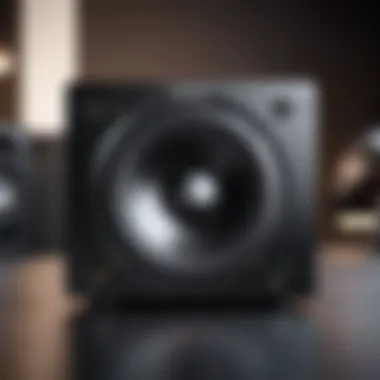 Notable In-Depth Analysis of the Proreck 18 Subwoofer Notable In-Depth Analysis of the Proreck 18 Subwoofer