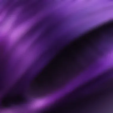 Rich Purple Tones of Ion Amethyst Vibrant Ion Amethyst hair color swatch showcasing its rich purple tones