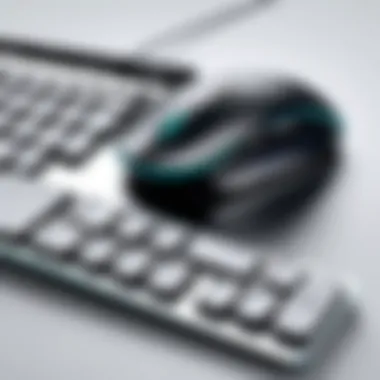 Ergonomic Features of Jelly Comb Wireless Keyboard Mouse Ergonomic features highlighted in the Jelly Comb device