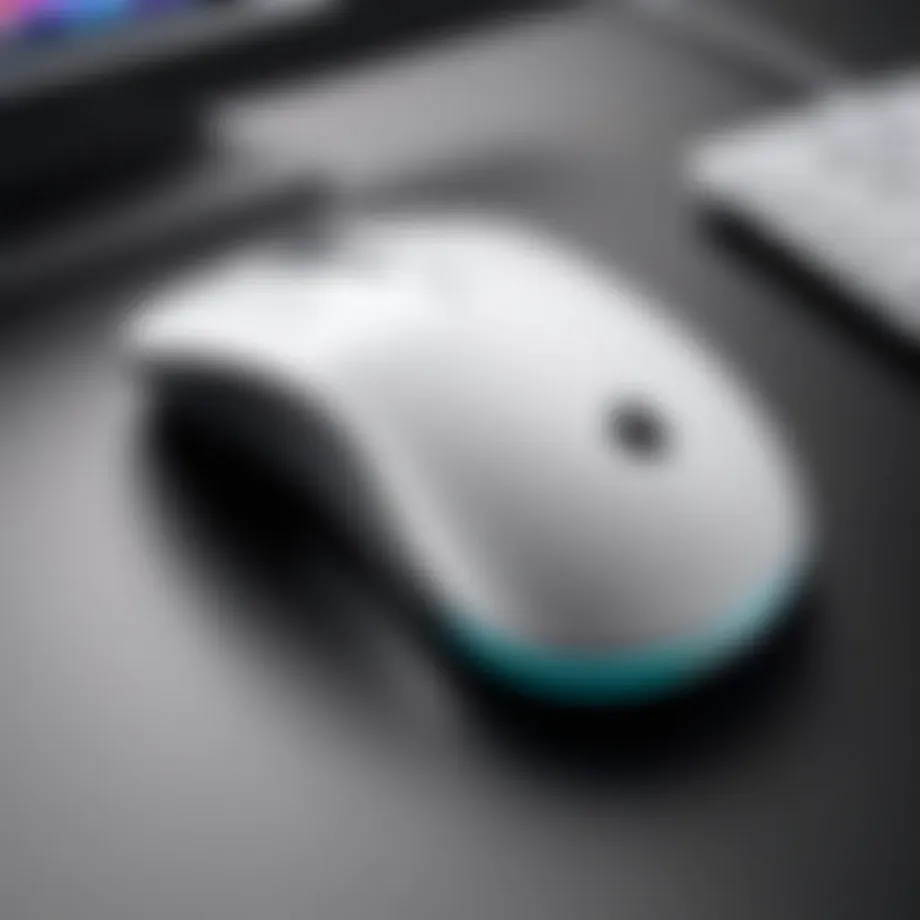 Ergonomic grip showcasing the curvature of the Magic Mouse.