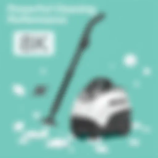 McCulloch MC1385 Deluxe Canister Steam Cleaner in action