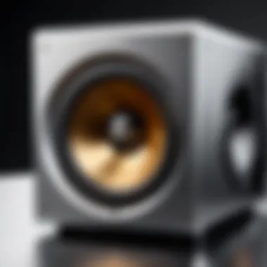 Showcasing Design Features Design features of Rockville powered subwoofers