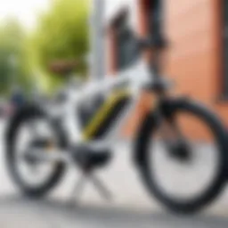 Electric bike showcasing government subsidy benefits