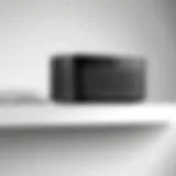 Sleek design of the Sonos Port Mount showcasing its modern aesthetics