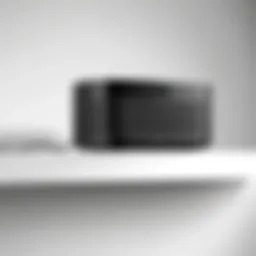 Sleek design of the Sonos Port Mount showcasing its modern aesthetics
