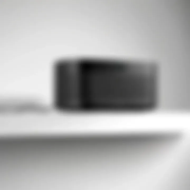Sleek design of the Sonos Port Mount showcasing its modern aesthetics