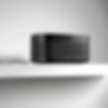 Sleek Design of the Sonos Port Mount Sleek design of the Sonos Port Mount showcasing its modern aesthetics