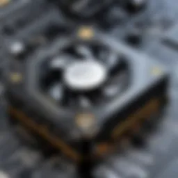 Understanding the WD Black D10: An In-Depth Analysis Introduction