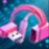 Detailed illustration of USB bridge cable connections