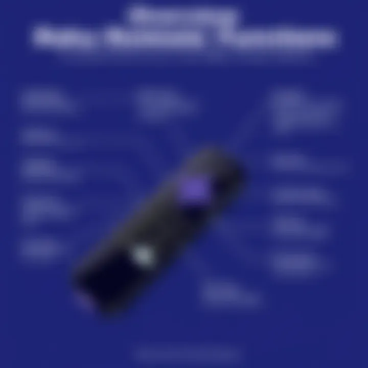 Roku Remote Functions Overview