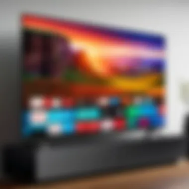 Dynamic Viewing Experience of Vizio Smart TV Dynamic viewing experience with the Vizio Smart TV